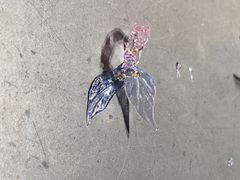-隐工匠·银饰·烧玻璃DIY手工坊(蓝·芳华店)