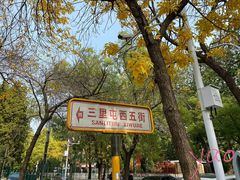 -三里屯东五街银杏大道