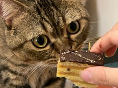 -哈氏上海哈尔滨食品厂(汇联商厦天钥桥路店)