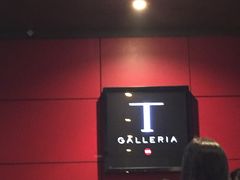 -DFS旗下T广场(新加坡店)