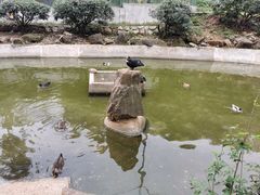 -老山国家森林公园
