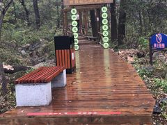 -大岭沟猕猴桃谷风景区