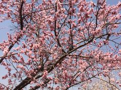 -长春公园(普阳街道)