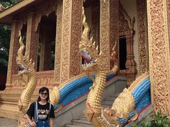 -西双版纳勐泐文化旅游区