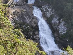 -海南热带雨林国家公园吊罗山景区