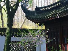 -上海醉白池公园