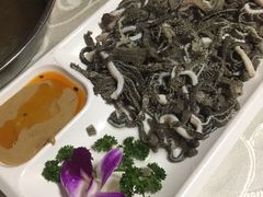 手切热气鲜毛肚-羊家胡同·龙虾烧烤火锅(龙汇路店)