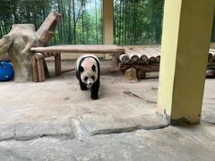 -杭州野生动物世界