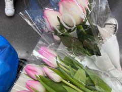 -循礼门鲜花花市(武汉循礼门店)