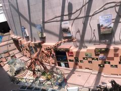 -陕西自然博物馆