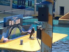 -秦皇岛乐岛海洋王国