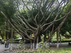 -厦门大学(思明校区)