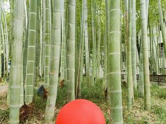 -绳金塔