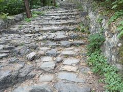 -阳台山自然风景区