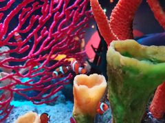 -沈阳海洋探索中心