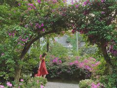 -重庆市江北嘴中央商务区中央公园