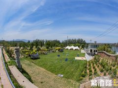 -WE ME 伴山营地·城市露营·团建策划