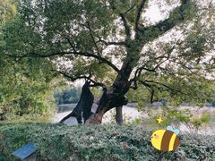 -台州府城(东湖)