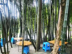 -金水泊山庄·花椒鸡(铁山坪店)