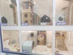 -拜鲁耶动物诊疗中心·宠家动物医院