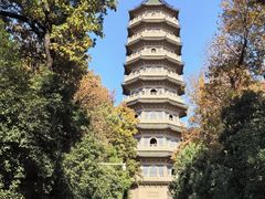 -灵谷景区