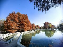 -白塘生态植物园