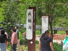 -红崖峡谷景区