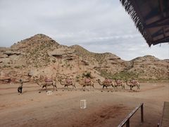 -张掖平山湖大峡谷景区