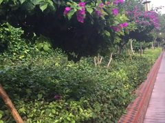 -铁路文化公园