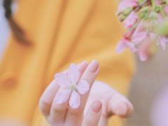 -天适樱花悠乐园