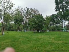-后襄河公园