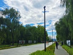 -野鸭湖国家湿地公园