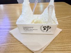 -野人先生Gelato(上海长宁龙之梦店)