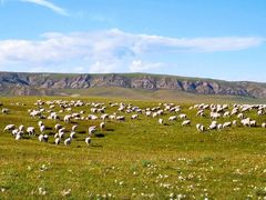 -青海湖国家重点风景名胜区