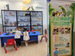 -睿趣疯狂机器人·乐高·编程·STEM(橡树湾中心)