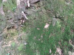 -桂山风景旅游区