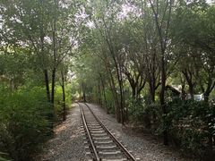 -西青郊野公园