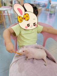 -Moni星球萌宠·小马宝莉·灵蛇·高端高阶全萌宠互动体验俱乐部(红豆国际广场店)