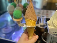 -野人先生现做冰淇淋(北京顺义祥云小镇店)