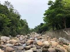 -海南热带雨林国家公园吊罗山景区