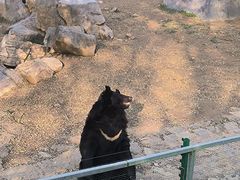 -石家庄市动物园