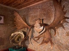 -秃鹫湾·推理大师沉浸式实景演绎推理剧场