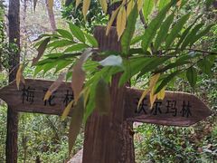 -狐尾山公园