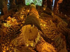 -乐山乌木文化博览苑