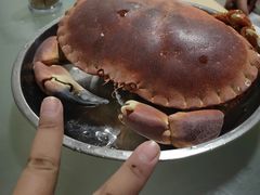 -鸿港海鲜批发市场