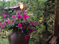 景观位-青城甲(青城山店)