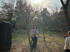 -东湖落雁景区