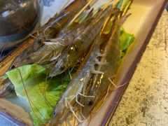 -七秒鱼·斑鱼火锅(太阳城店)