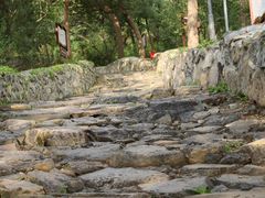 -阳台山自然风景区