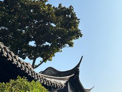 -梅园